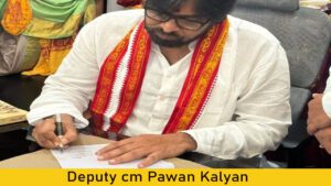 Deputy Chief Minister Pawan Kalyan